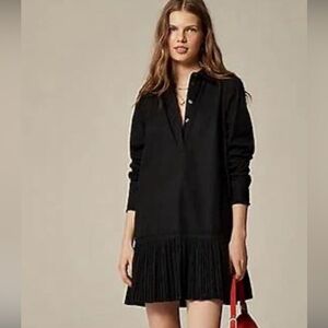 Amelia poplin pleated J Crew Dress